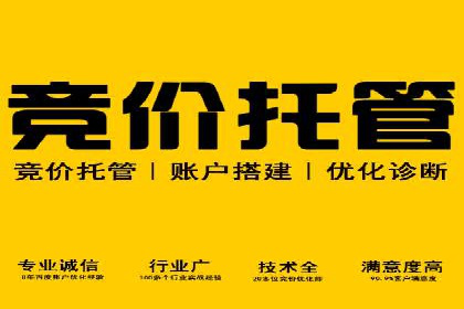 百度竞价推广托管实战：某行业巨头的成功经验